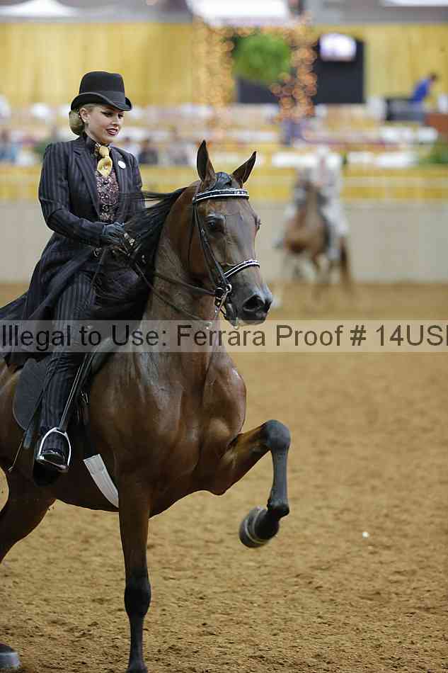 Proof Number 14usn_08181