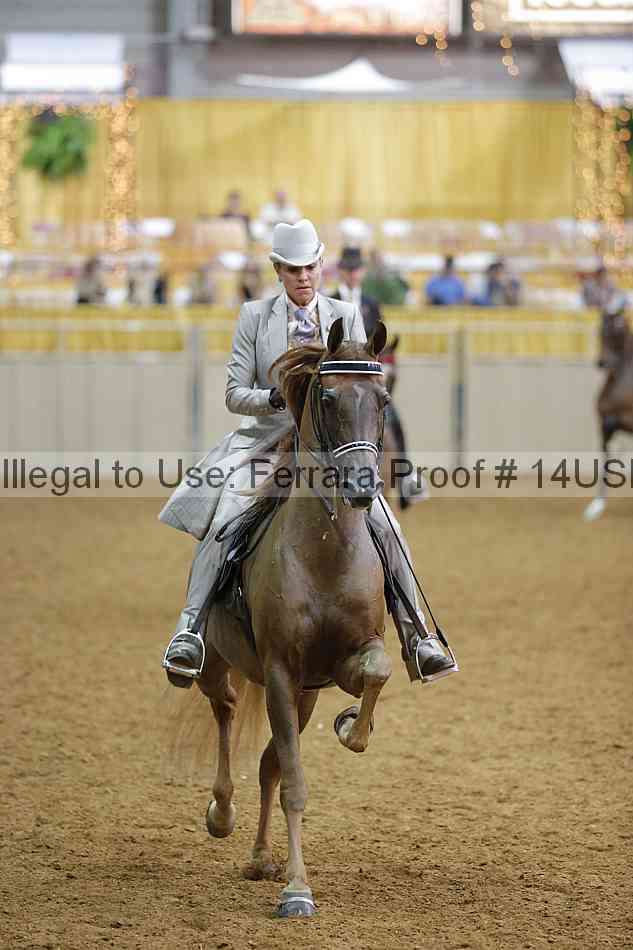 Proof Number 14usn_08205