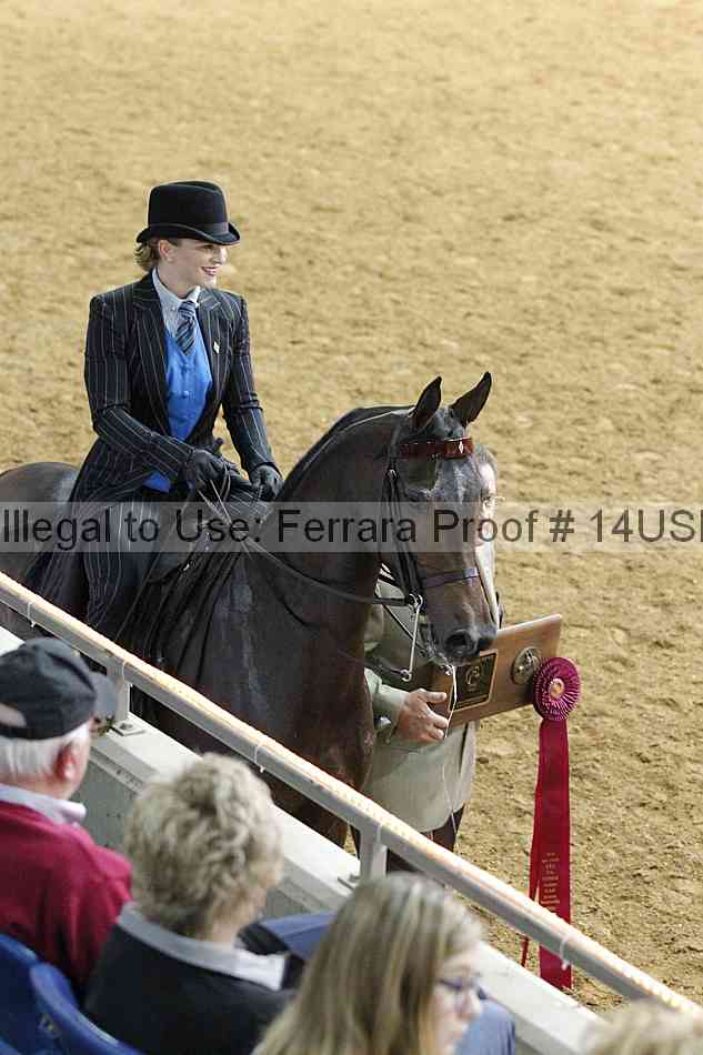Proof Number 14usn_08303