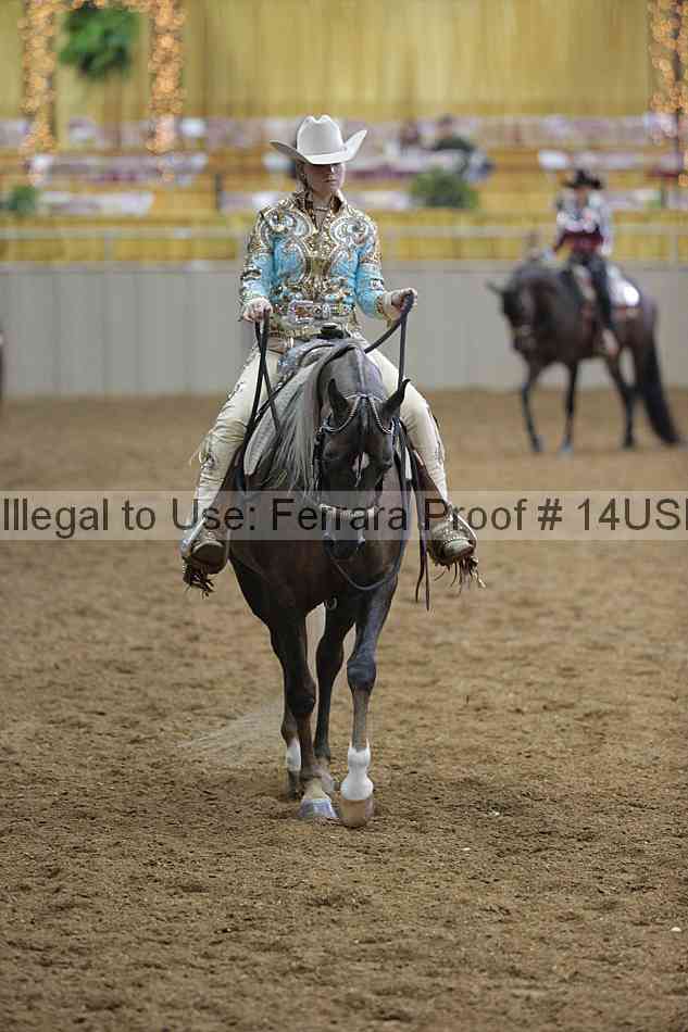 Proof Number 14usn_00405