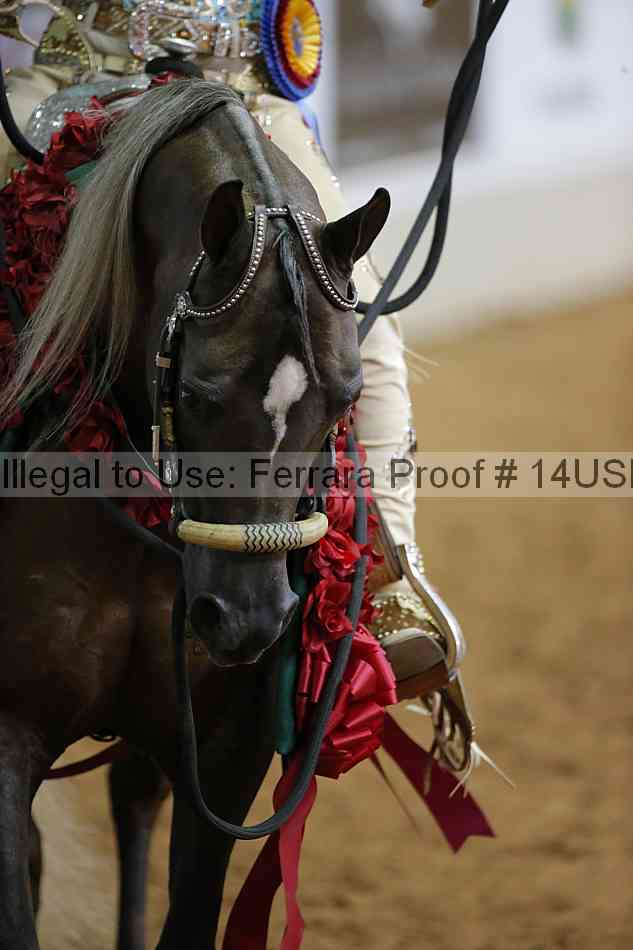 Proof Number 14usn_07676