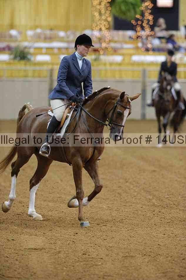 Proof Number 14usn_08581