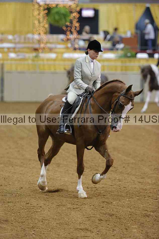 Proof Number 14usn_08600