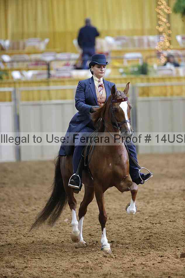 Proof Number 14usn_20952