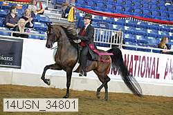 14usn_34801 thumbnail