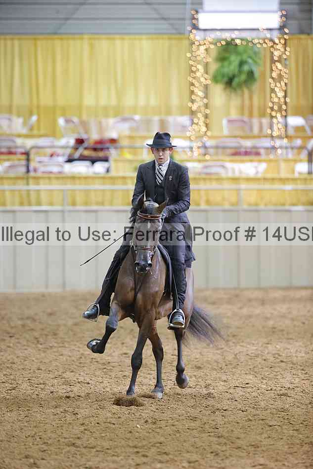 Proof Number 14usn_11364