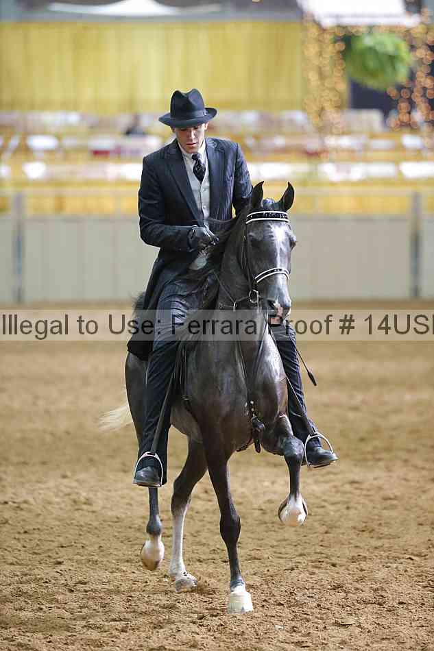 Proof Number 14usn_11460