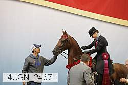 14usn_24671 thumbnail