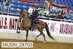 14usn_24703 thumbnail