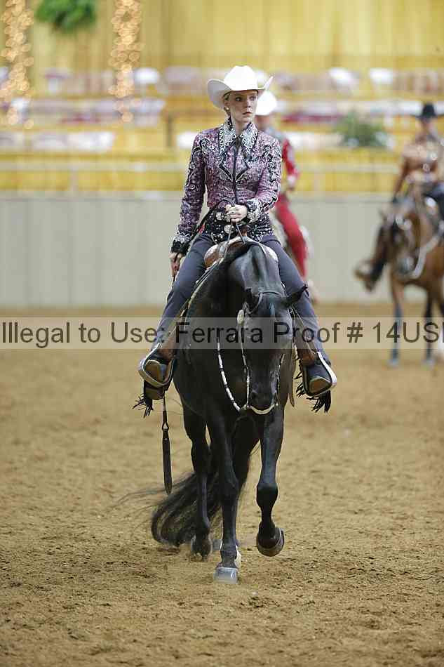 Proof Number 14usn_06185