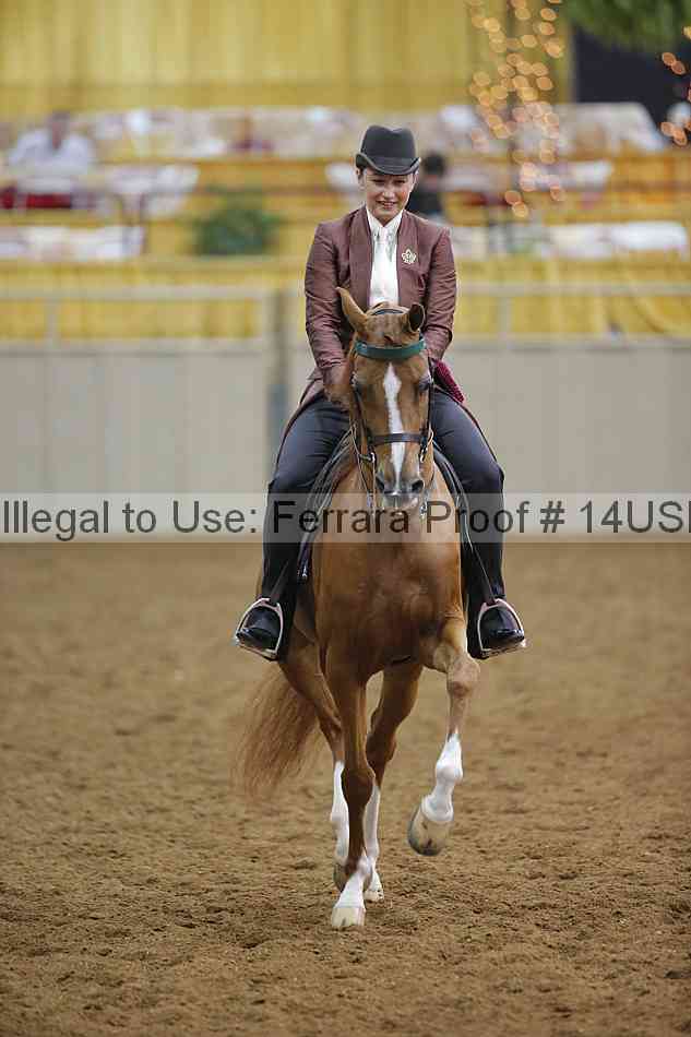Proof Number 14usn_14293
