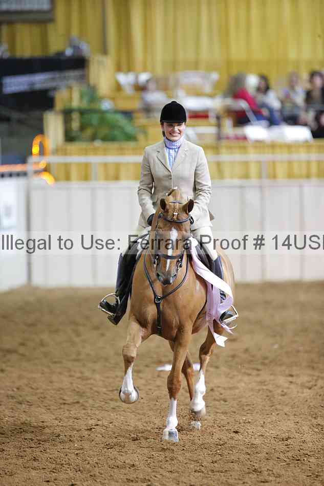 Proof Number 14usn_16783