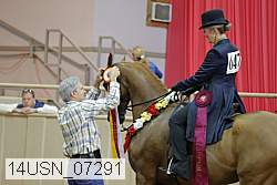 14usn_07291 thumbnail