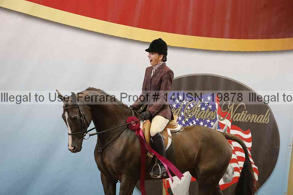 Proof Number 14usn_19878