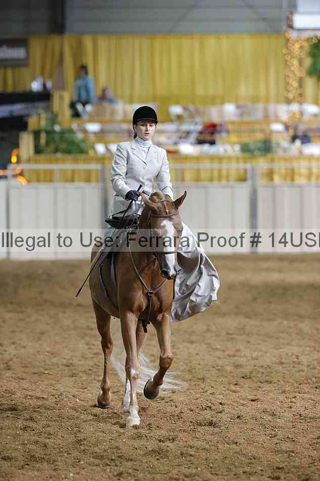 Proof Number 14usn_31497