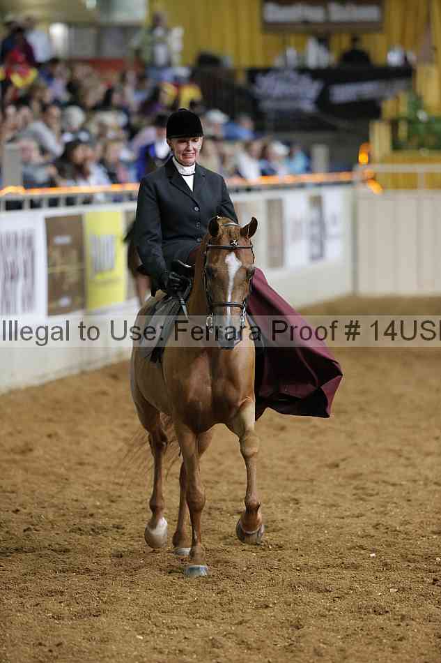 Proof Number 14usn_31646