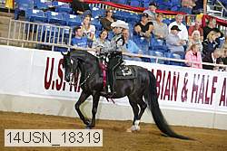 14usn_18319 thumbnail