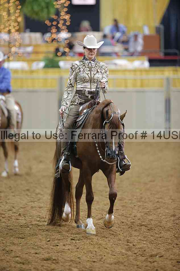 Proof Number 14usn_20065