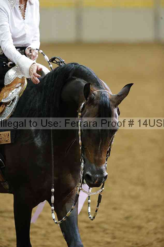 Proof Number 14usn_20130