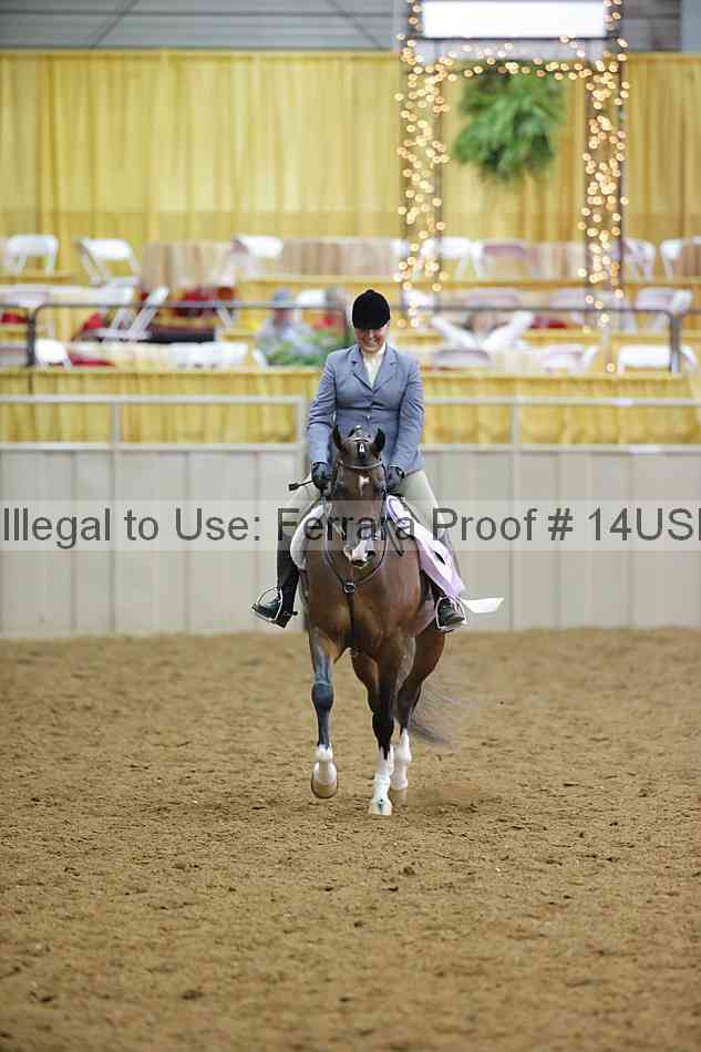 Proof Number 14usn_13651