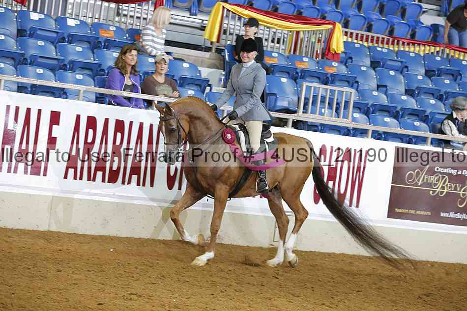 Proof Number 14usn_21190
