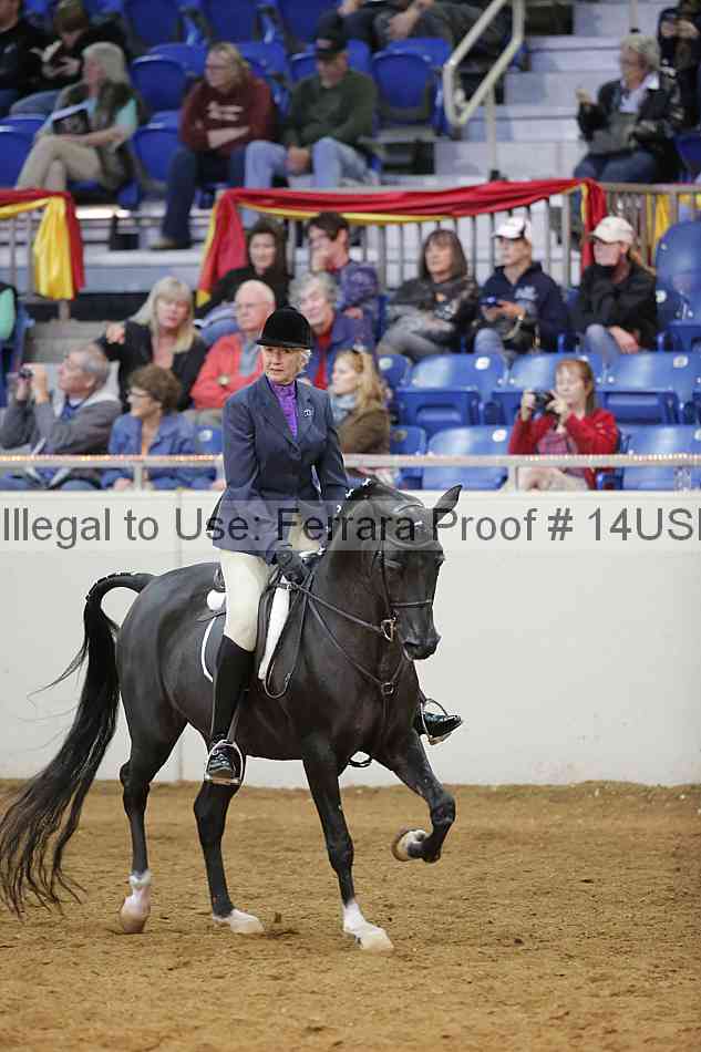 Proof Number 14usn_06809