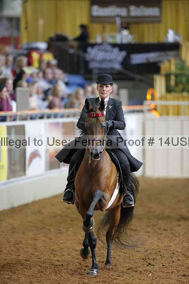 Proof Number 14usn_22097