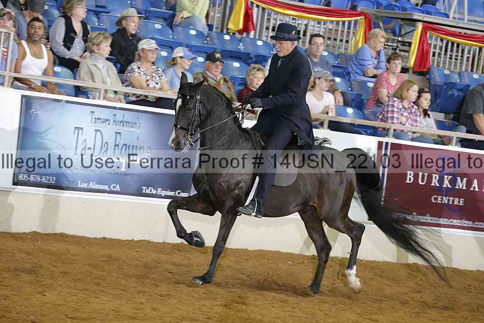 Proof Number 14usn_22103