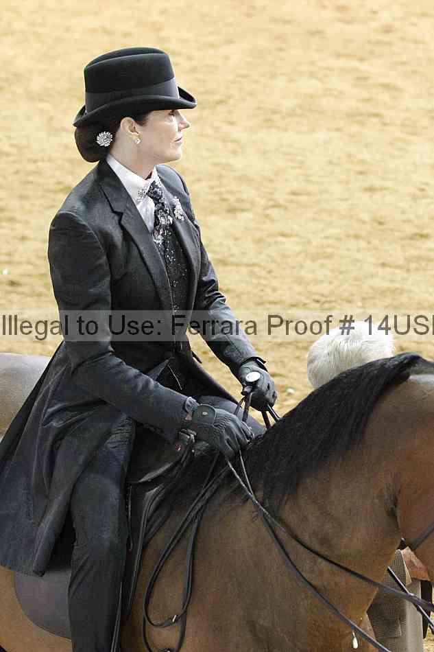 Proof Number 14usn_22165