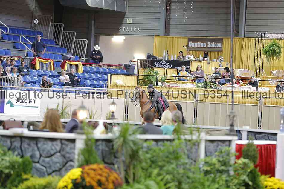 Proof Number 14usn_03541