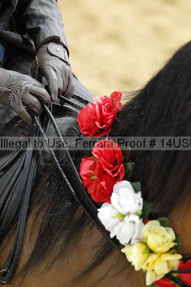 Proof Number 14usn_03587