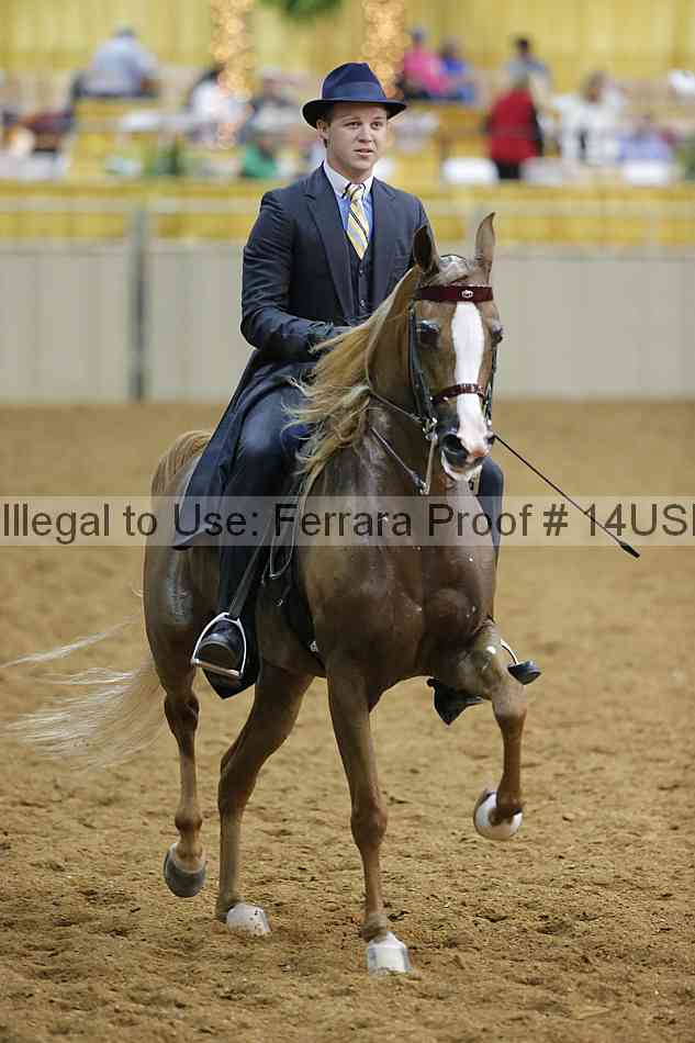 Proof Number 14usn_08894