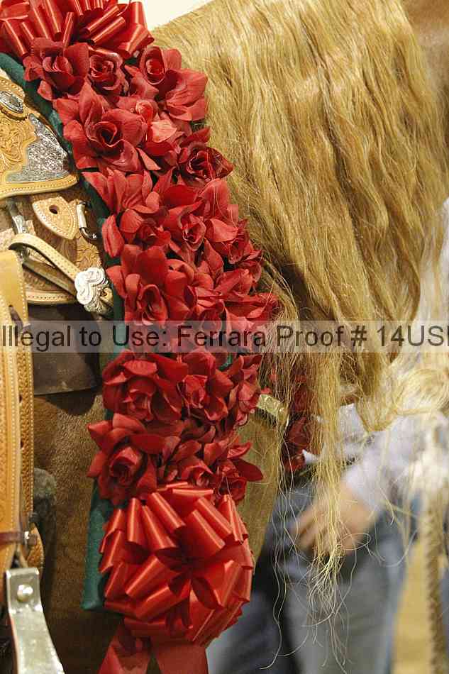 Proof Number 14usn_09589