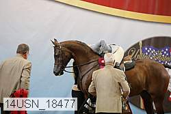 14usn_18477 thumbnail