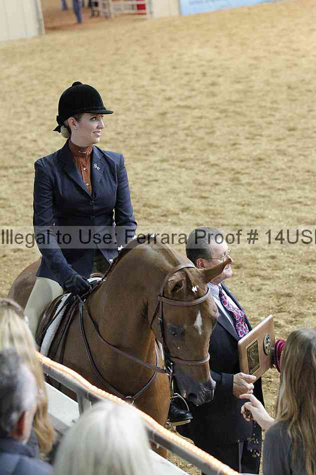 Proof Number 14usn_31162