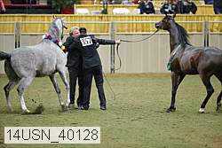 14usn_40128 thumbnail