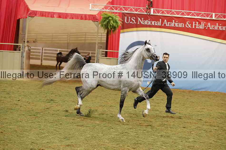 Proof Number 14usn_38909