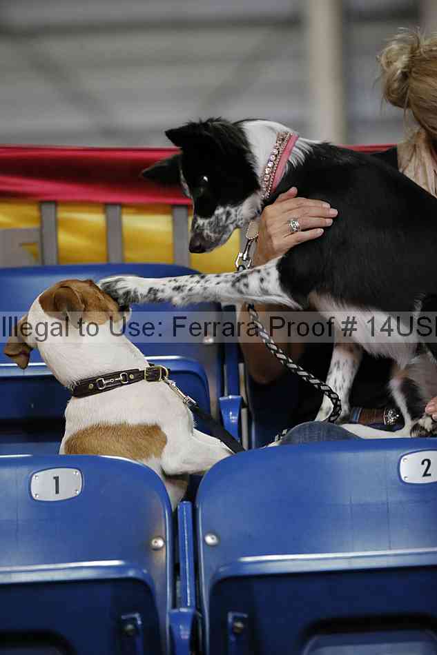 Proof Number 14usn_19469