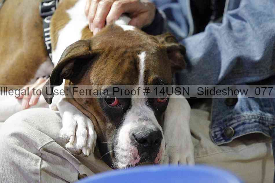Proof Number 14usn_slideshow_07710