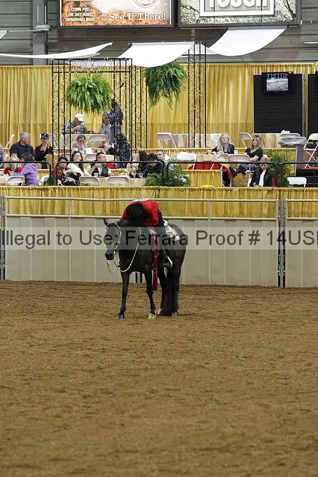 Proof Number 14usn_slideshow_07712