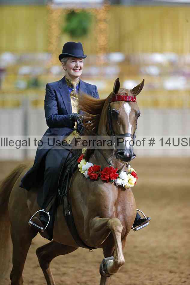 Proof Number 14usn_slideshow_07753