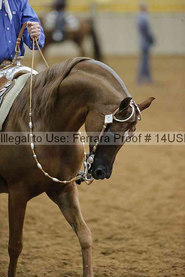 Proof Number 14usn_slideshow_33437