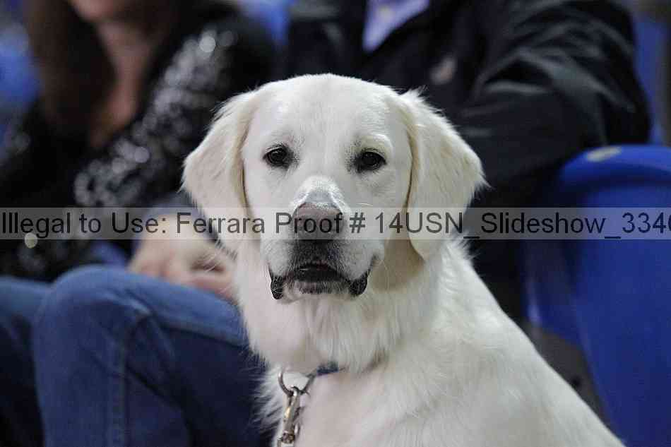 Proof Number 14usn_slideshow_33461