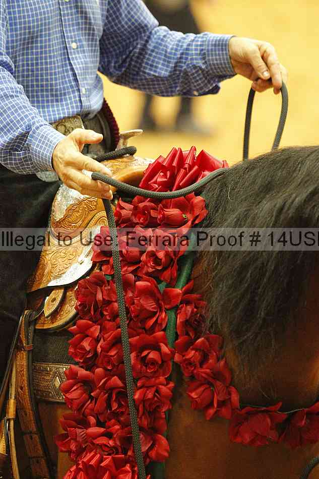 Proof Number 14usn_slideshow_33468
