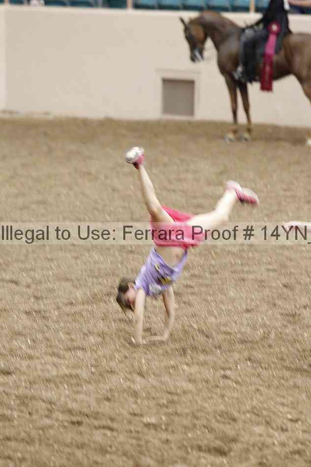 Proof Number 14yn_16431