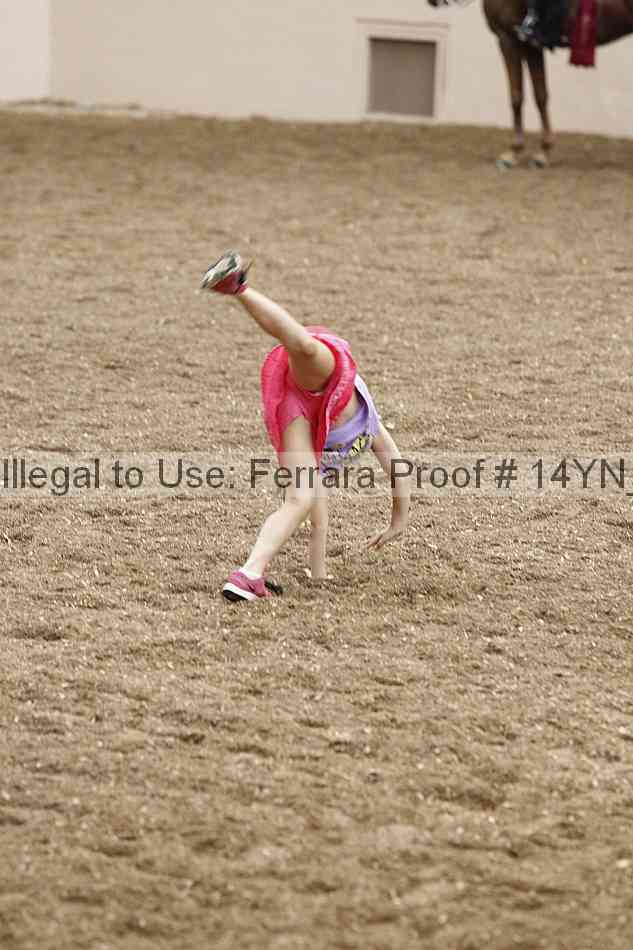 Proof Number 14yn_16432
