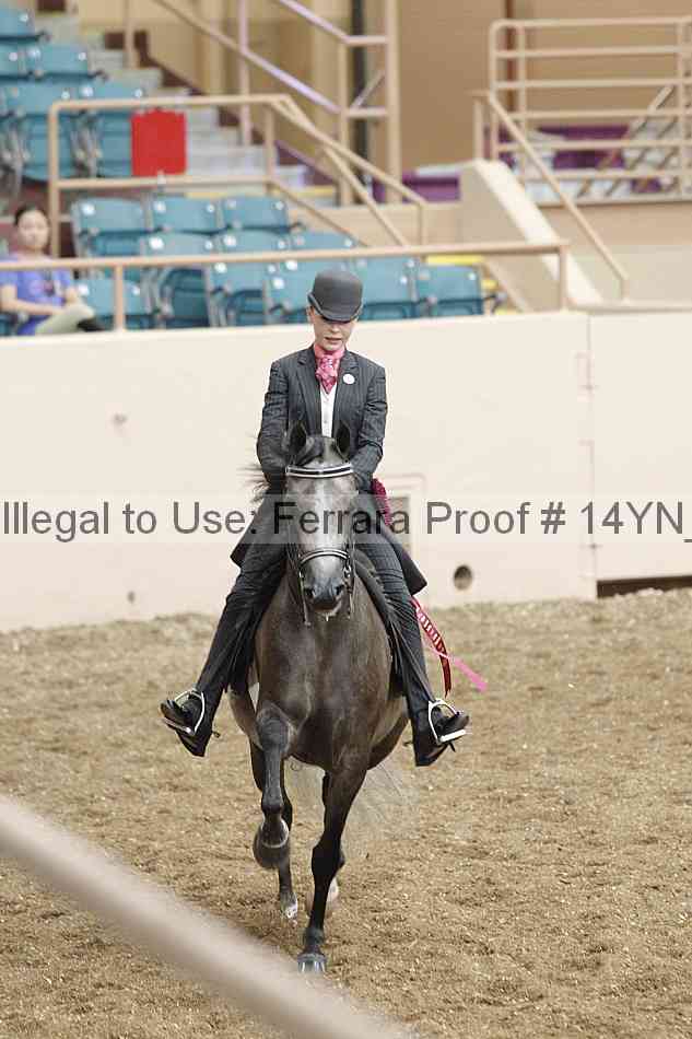 Proof Number 14yn_07669