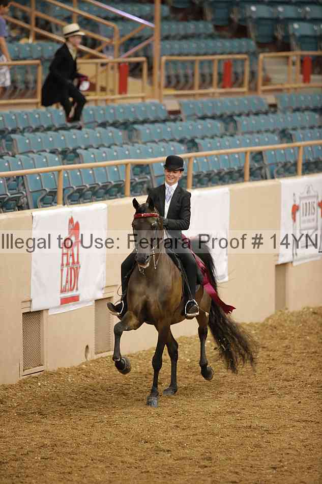 Proof Number 14yn_07705
