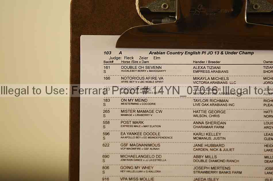 Proof Number 14yn_07016
