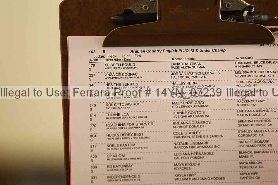 Proof Number 14yn_07239
